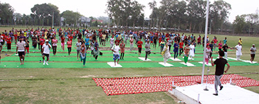 Agri University News- Yoga day Celebration at PAU